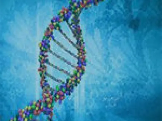 DNA
