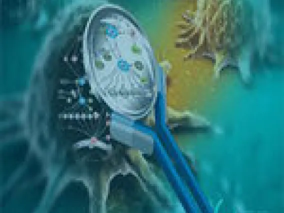 Genomic and epigenetic instability