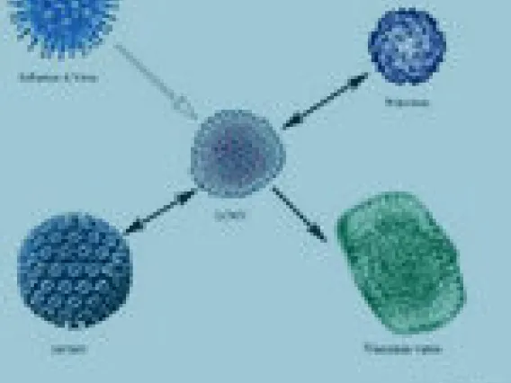 tumor viruses
