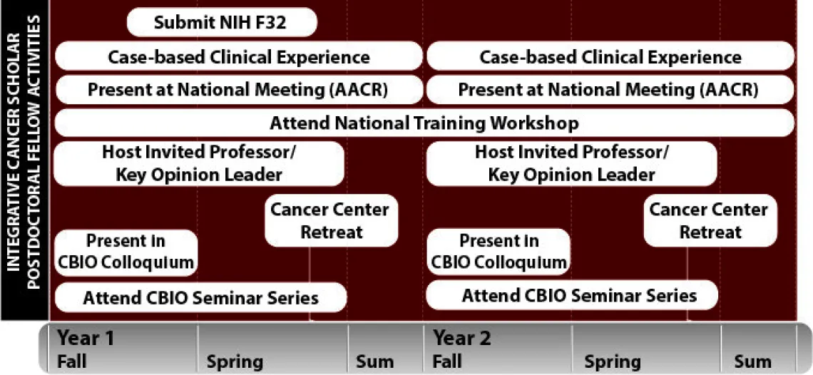 postdoctoral timeline