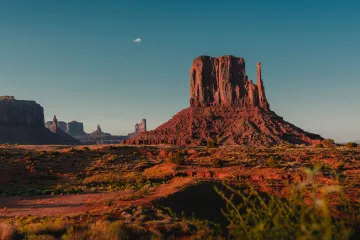 arizona